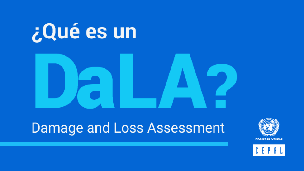 Infografía ¿Qué es un DaLA?