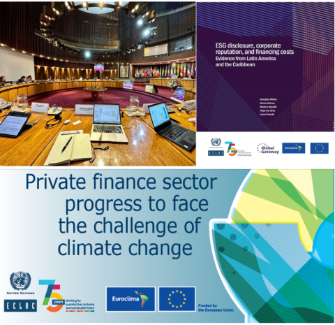 PRIVATE FINANCE SECTOR PROGESS TO FACE THE CHALLENGE OF CLIMATE CHANGE