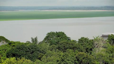 Imagen de la Amazonia brasileña en la ciudad de Manaos.