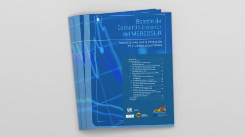 Portada boletín comercio exterior MERCOSUR No. 6