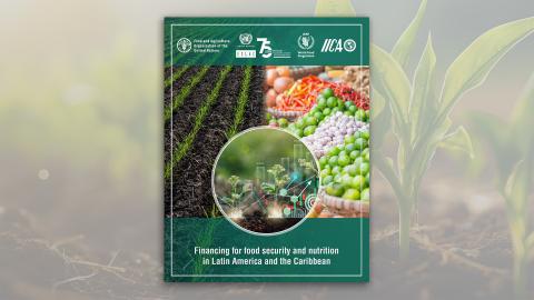 Cover joint FAO-ECLAC-WFP-IICA report on food security and nutrition in Latin America and the Caribbean