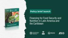 Banner policy brief FAO-ECLAC-WFP-IICA