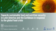 Announcement policy brief on food security
