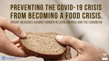 Banner FAO-ECLAC report