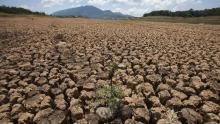 Paisaje afectado por la sequía en Brasil.