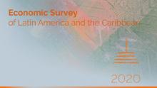 Banner Economic Survey 2020 ENG