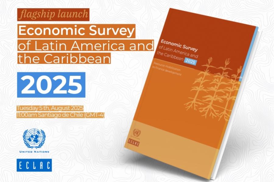 Banner Economic Survey 2025 ENG