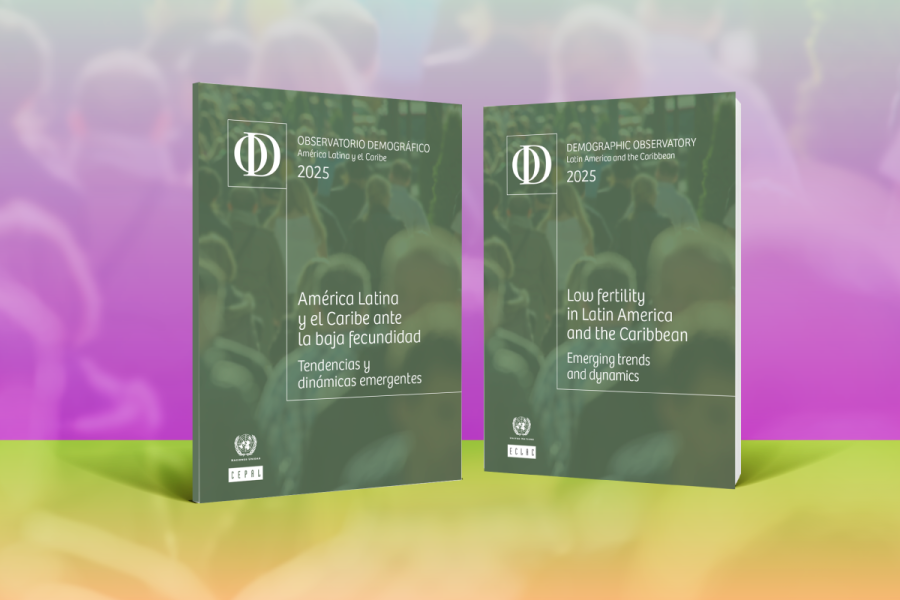 Banner Demographic Observatory 2025