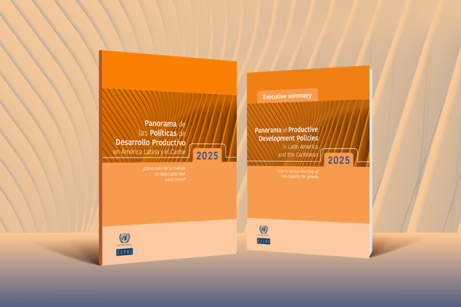 Banner Panorama de las Políticas de Desarrollo Productivo 2025