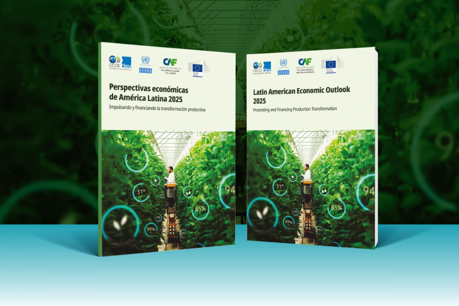 Banner LEO 2025 report