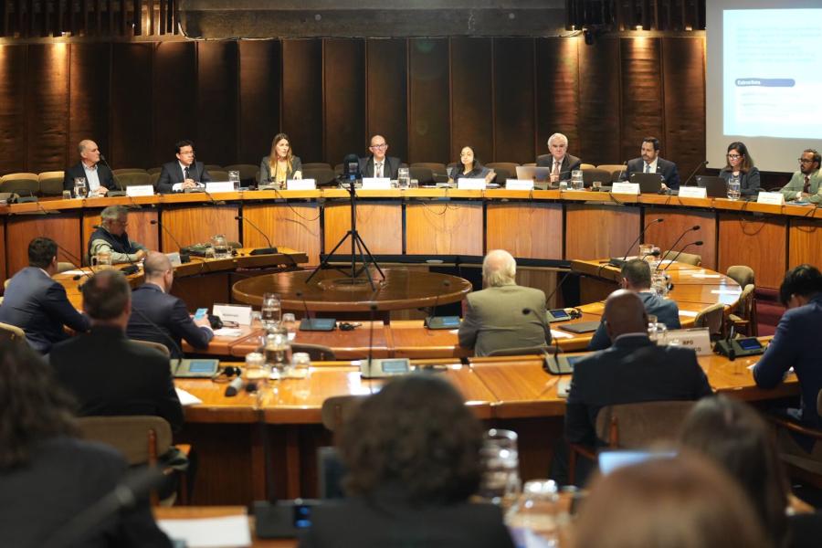 Fotografía de la reunión.