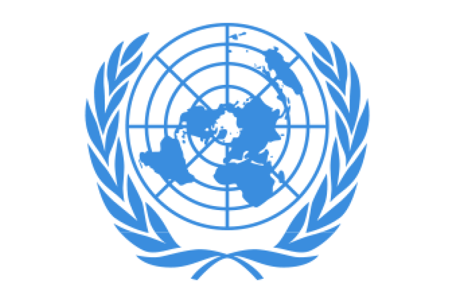 Publicaciones de las Naciones Unidas