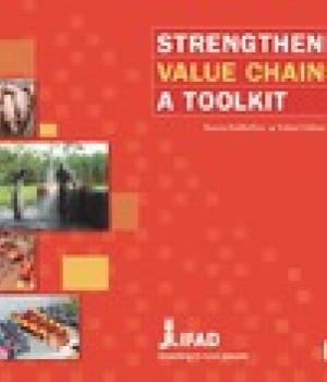 Strengthening value chains: A toolkit