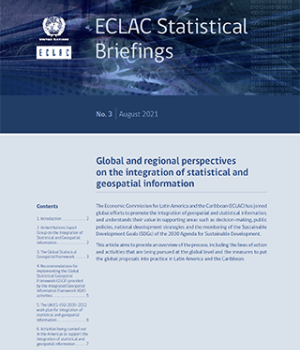 Global and regional perspectives on the integration of statistical and geospatial information
