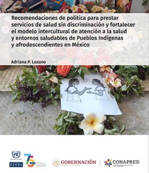 Recomendaciones de política para la prestación de servicios de salud sin discriminación y fortalecimiento del modelo intercultural de atención a la salud y entornos saludables de Pueblos Indígenas y afrodescendientes en México
