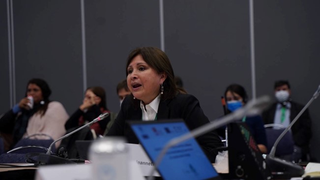 Jeannette Sánchez COP 15