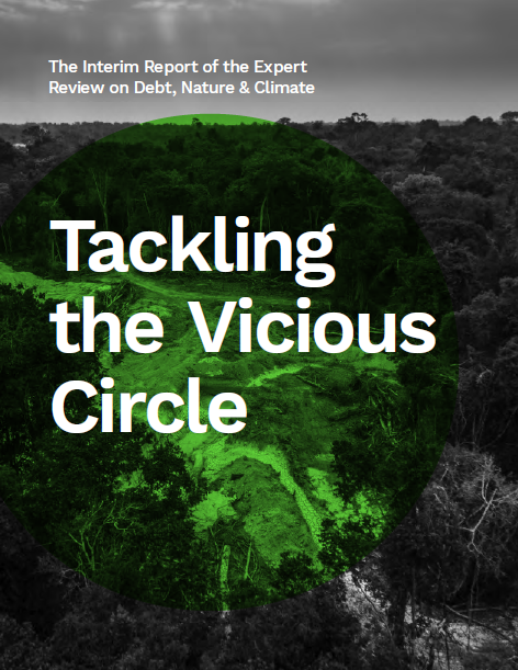 Tackling the Vicious Circle The Interim Report of the Expert Review on Debt, Nature & Climate